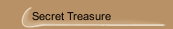 Secret Treasure